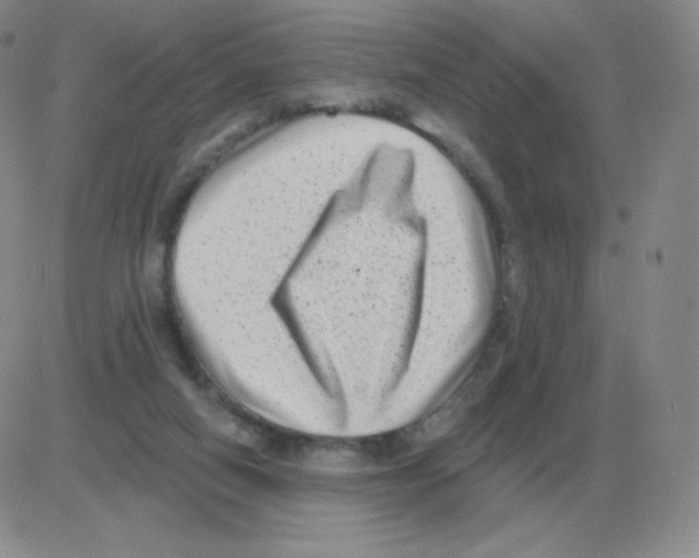 X0000082680066200702232148