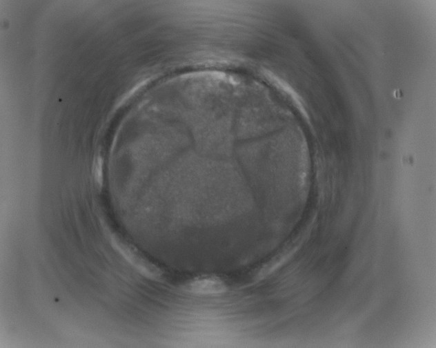 X0000082680067200702232148