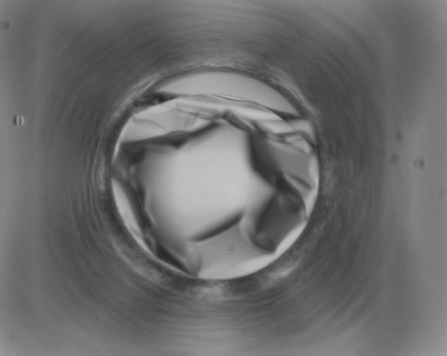 X0000082680068200702232149