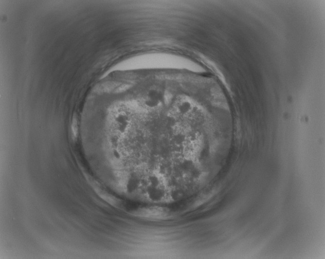 X0000082680069200702232149