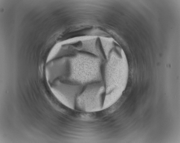 X0000082680070200702232149