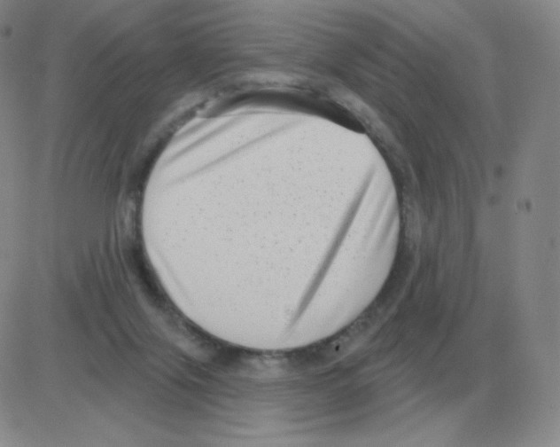 X0000082680071200702232149