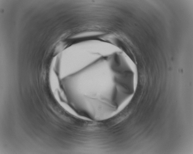 X0000082680072200702232149