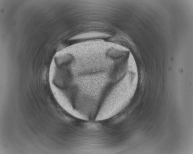 X0000082680073200702232149