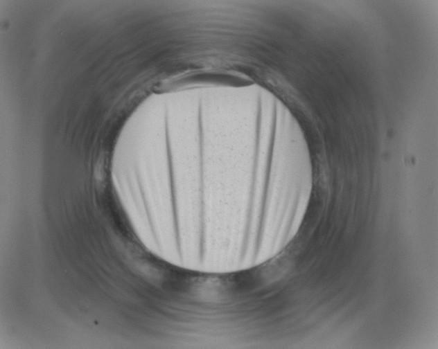 X0000082680074200702232149