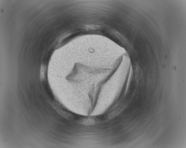 X0000082680075200702232149