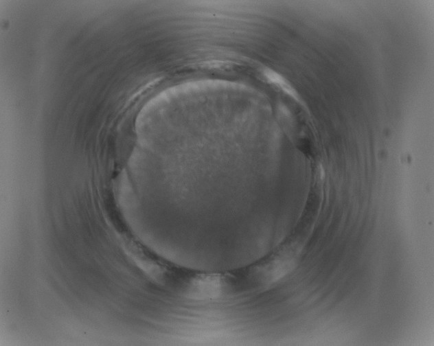 X0000082680076200702232149