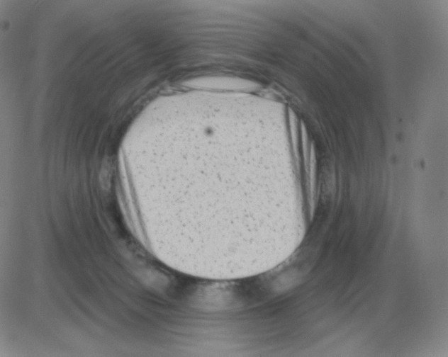 X0000082680078200702232149