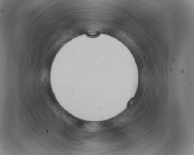 X0000082680079200702232149