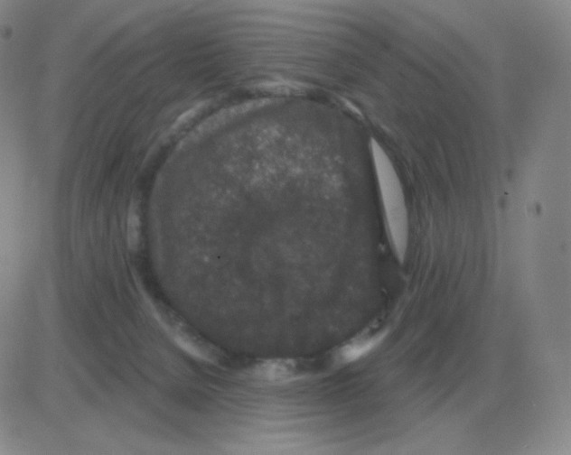 X0000082680080200702232149