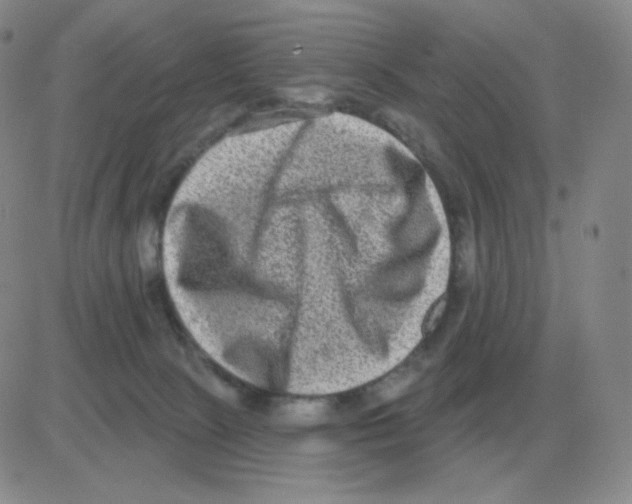 X0000082680081200702232149