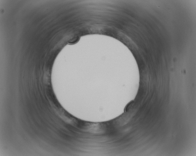 X0000082680083200702232149