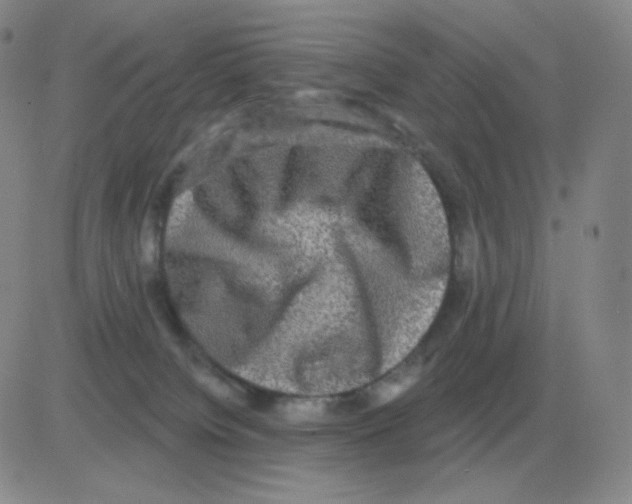 X0000082680084200702232149