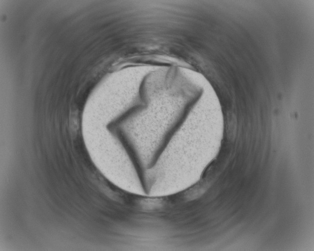 X0000082680085200702232149