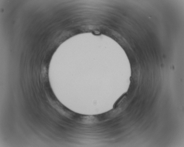 X0000082680087200702232149