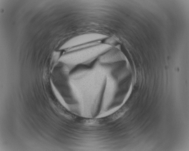 X0000082680088200702232149