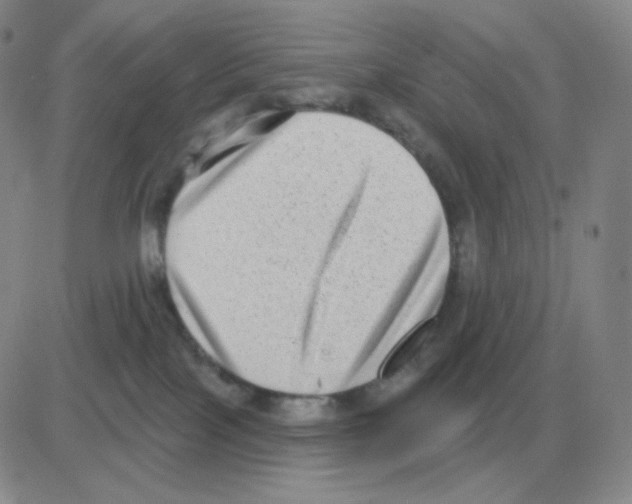 X0000082680089200702232149