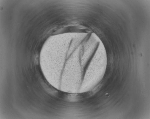 X0000082680090200702232149