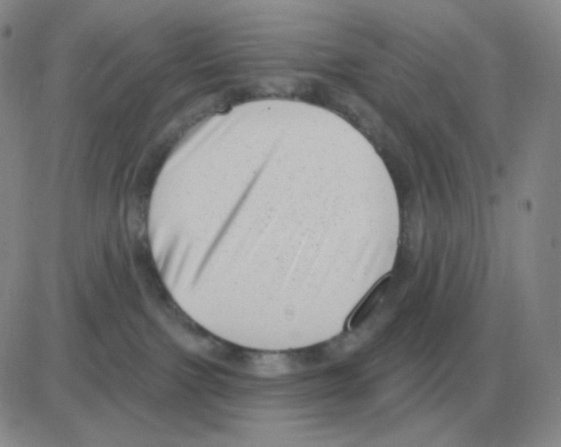 X0000082680091200702232149