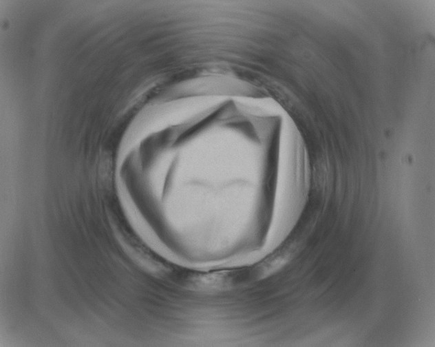 X0000082680092200702232149