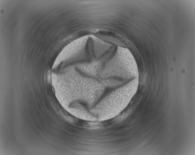 X0000082680095200702232149