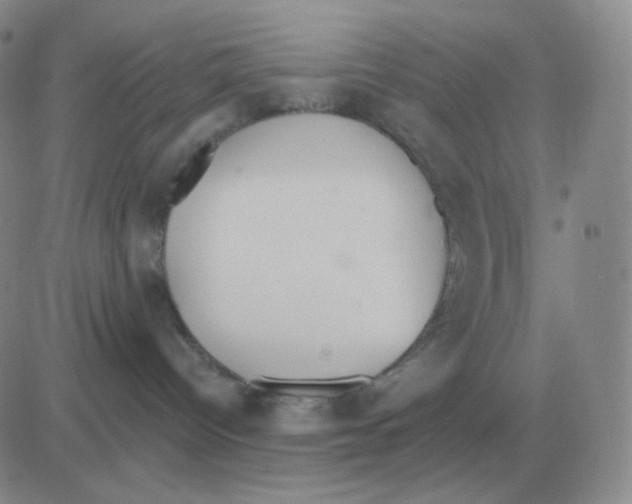 X0000082680096200702232149