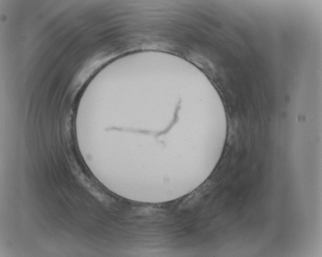 X0000082680098200702232148