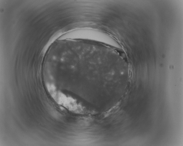 X0000082680099200702232148