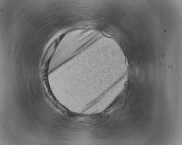 X0000082680100200702232148