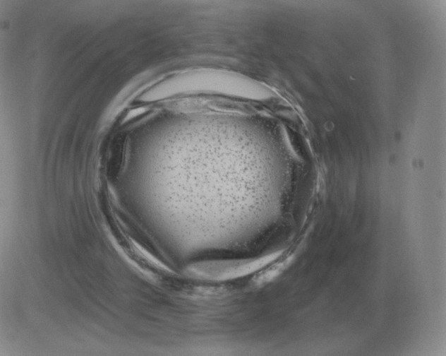 X0000082680101200702232148