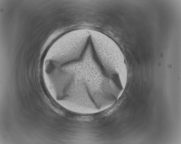 X0000082680102200702232148