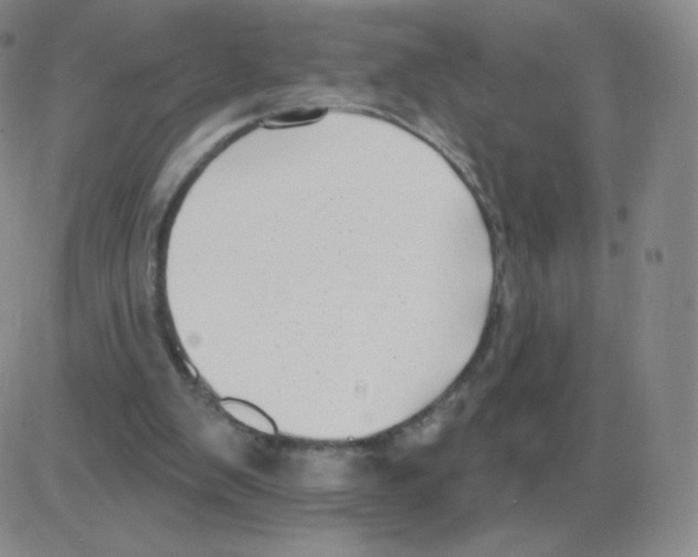 X0000082680103200702232148