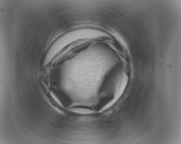 X0000082680105200702232148