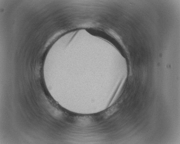 X0000082680106200702232148