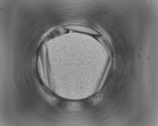 X0000082680107200702232148