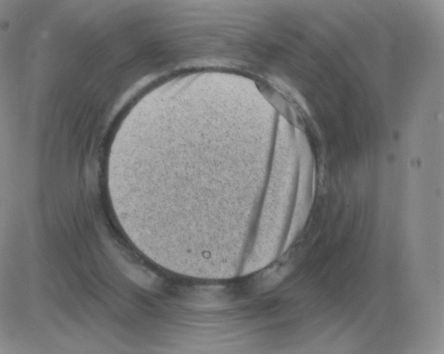 X0000082680108200702232148