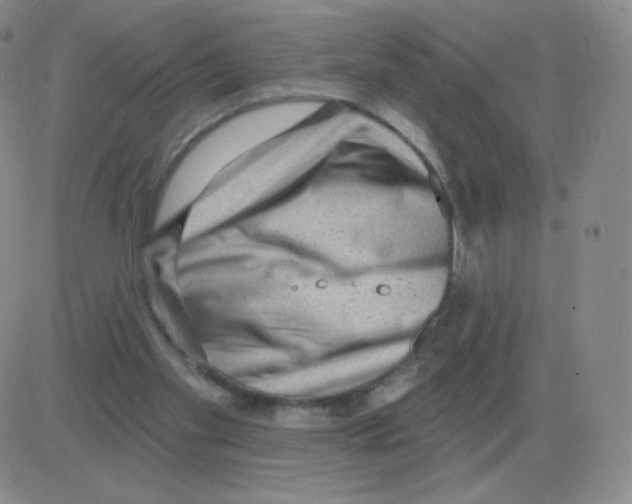 X0000082680109200702232148