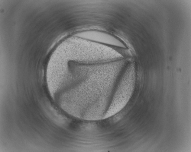 X0000082680110200702232148