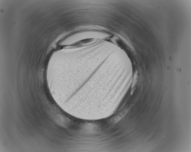 X0000082680111200702232148