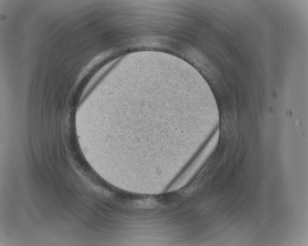 X0000082680112200702232148