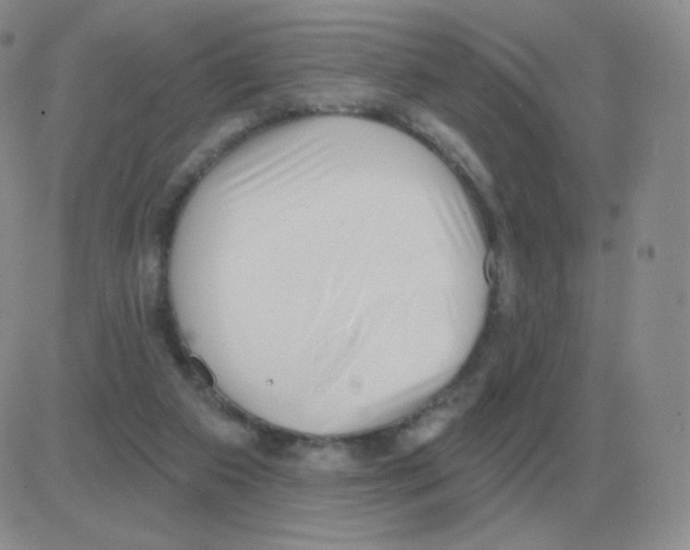 X0000082680113200702232148