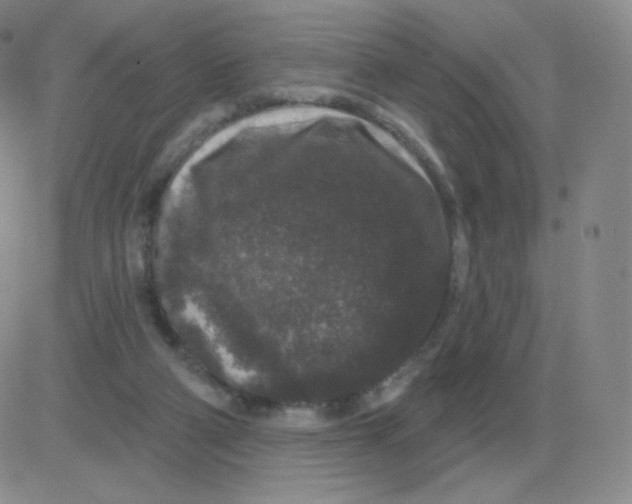 X0000082680114200702232148