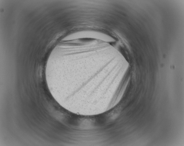 X0000082680115200702232148