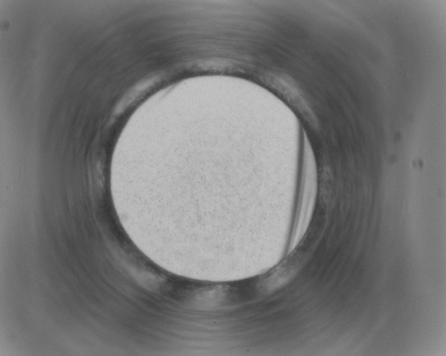 X0000082680116200702232148