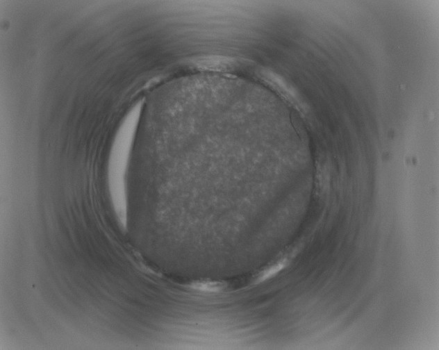 X0000082680117200702232148