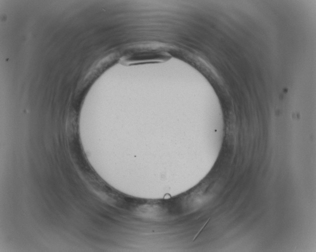 X0000082680119200702232148