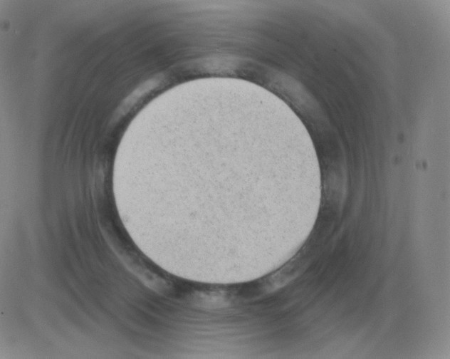 X0000082680120200702232148