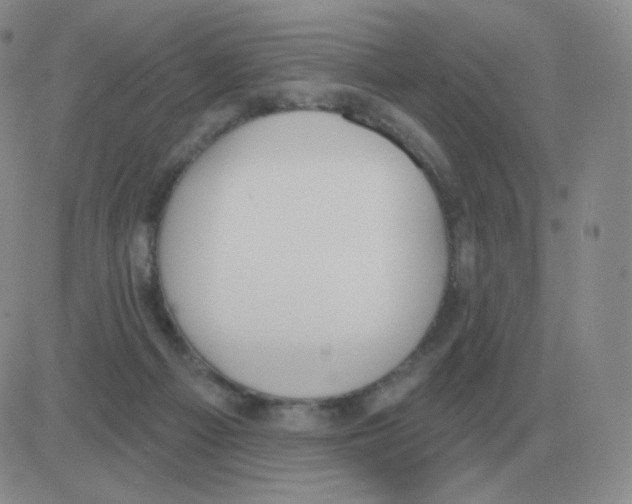 X0000082680121200702232148