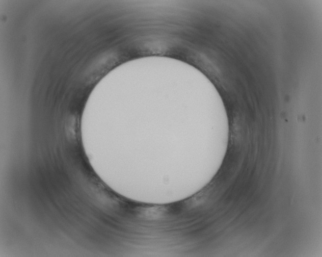 X0000082680122200702232148