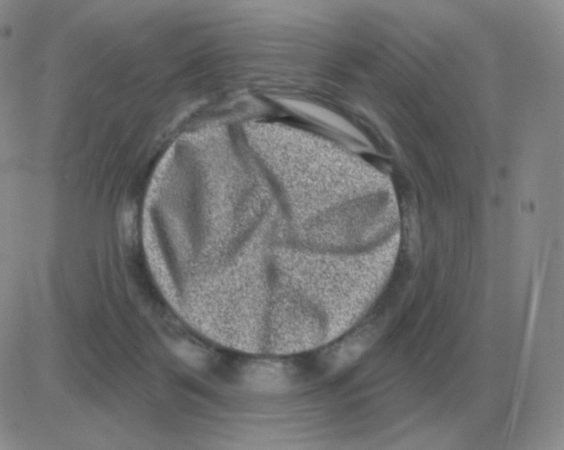 X0000082680123200702232148